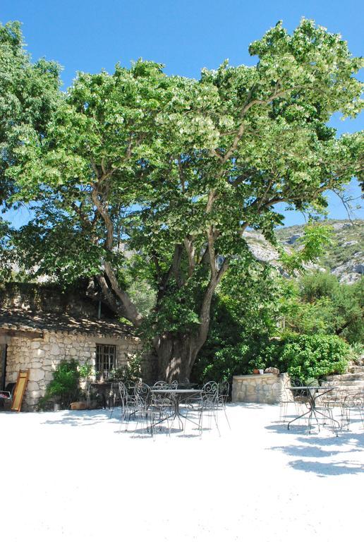 Bastide De La Lezardiere Fontaine-de-Vaucluse Exteriör bild